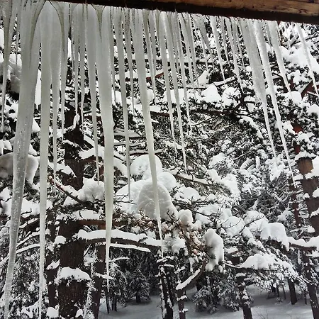 Rila 6ato & Restaurant 3* Paničišče