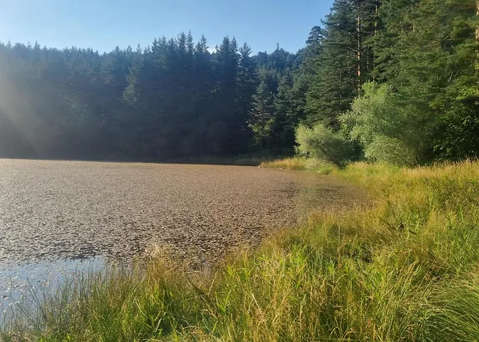 Hotel Rila 6ato & Restaurant Panichishte