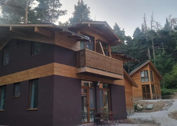 Rila 6ato & Restaurant 3* Panichishte